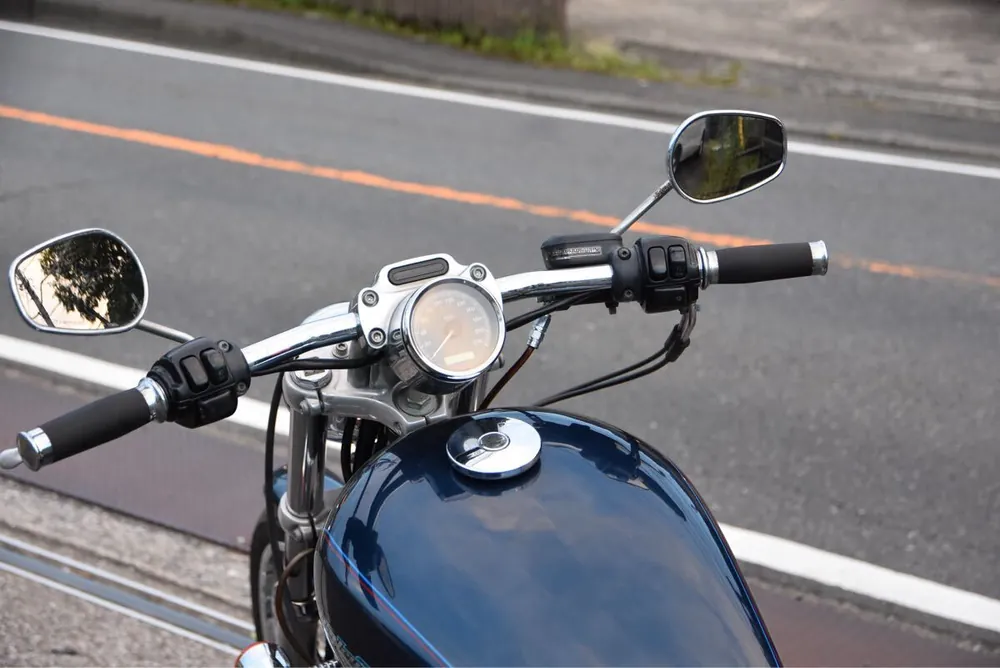 Harley-Davidson Sportster XL883C 2004, фото 2