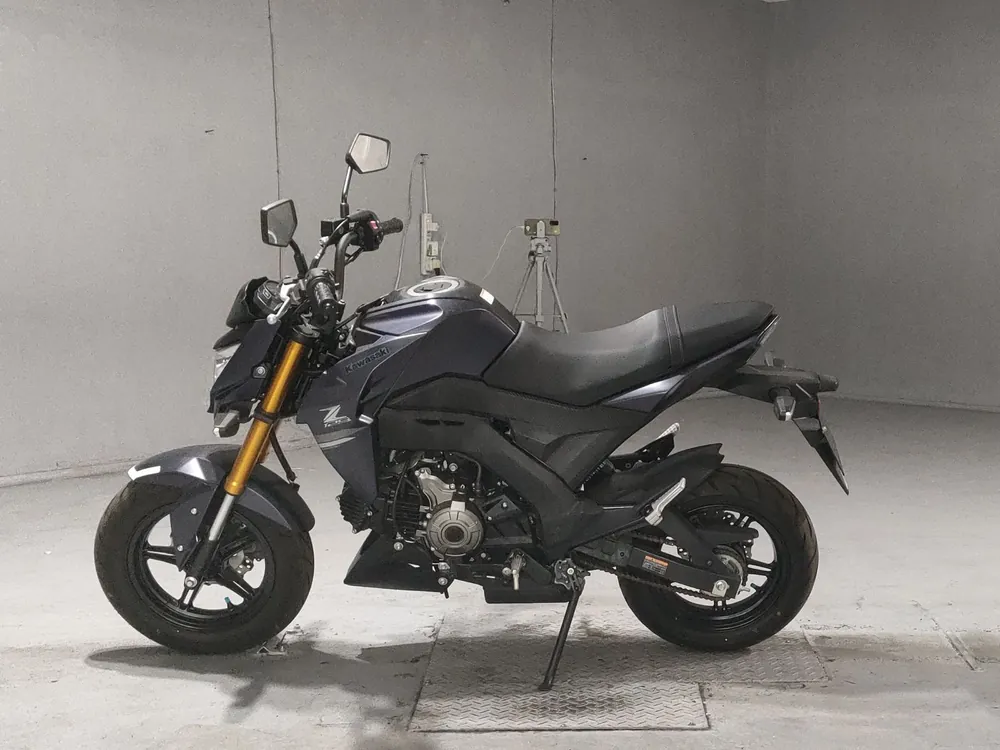 Kawasaki Z125 PRO, серый, фото 2
