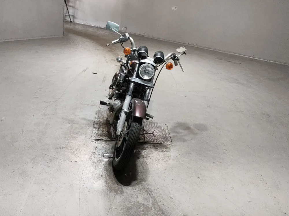 Harley-Davidson XLH1000 2001, light brown, фото 3