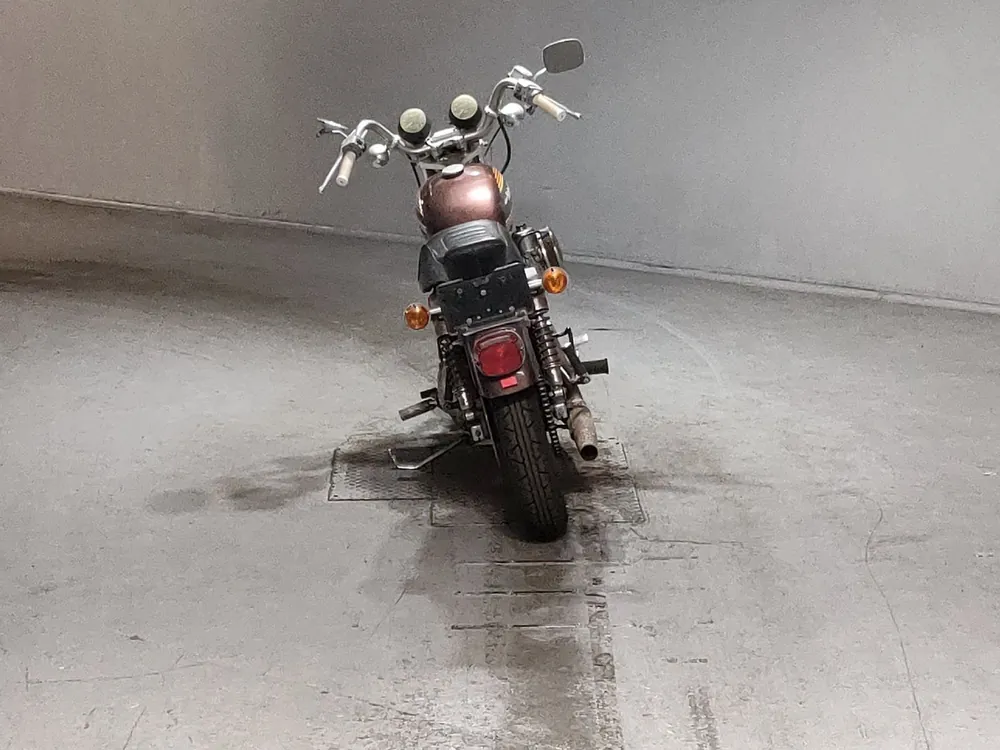 Harley-Davidson XLH1000 2001, light brown, фото 4