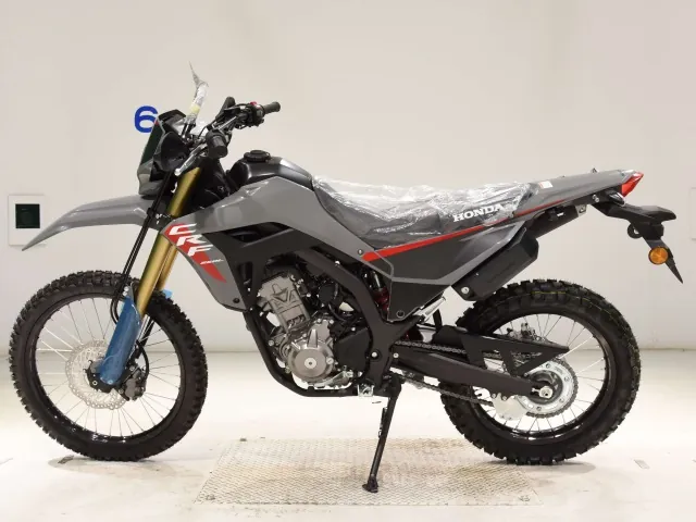Honda CRF250 Rally, серый, фото 2