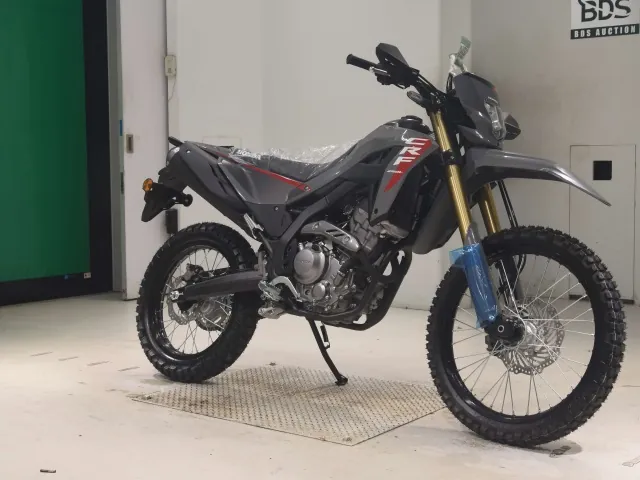 Honda CRF250 Rally, серый, фото 3