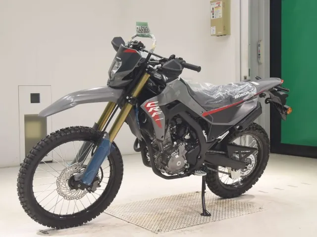 Honda CRF250 Rally, серый, фото 4