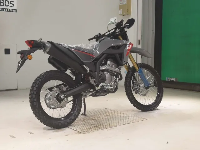 Honda CRF250 Rally, серый, фото 5