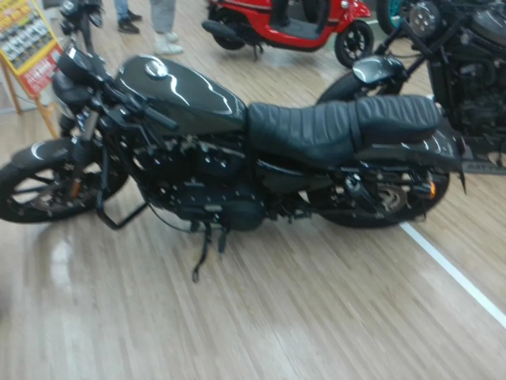 Harley-Davidson XL883N 2019, gun m, фото 2