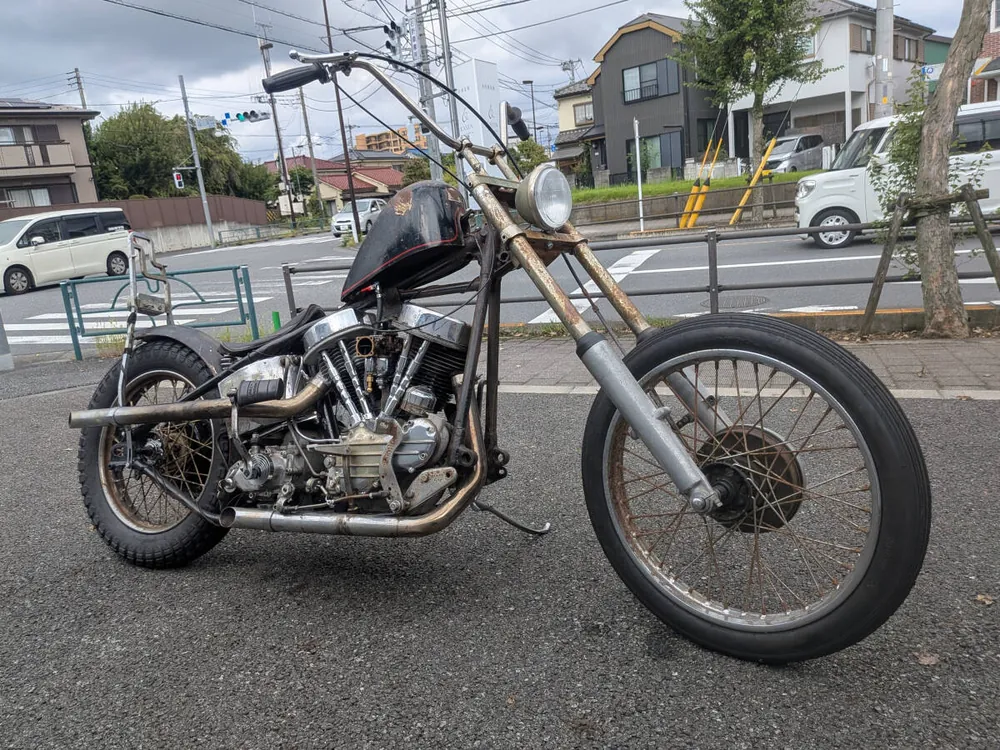 Harley-Davidson Panhead 1956, фото 3