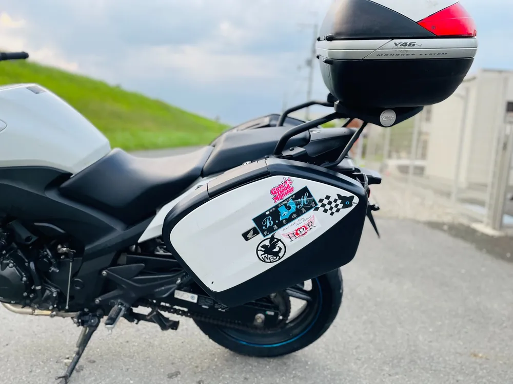 Honda CBF1000 2014, белый, фото 12
