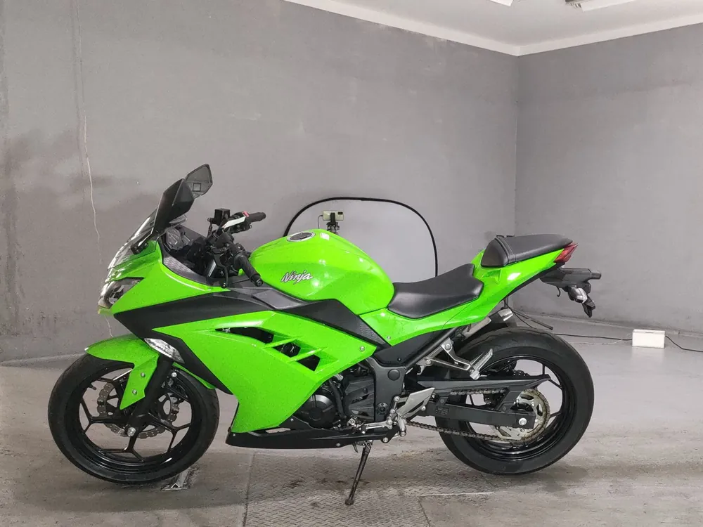 Kawasaki Ninja 250, зелёный, фото 2