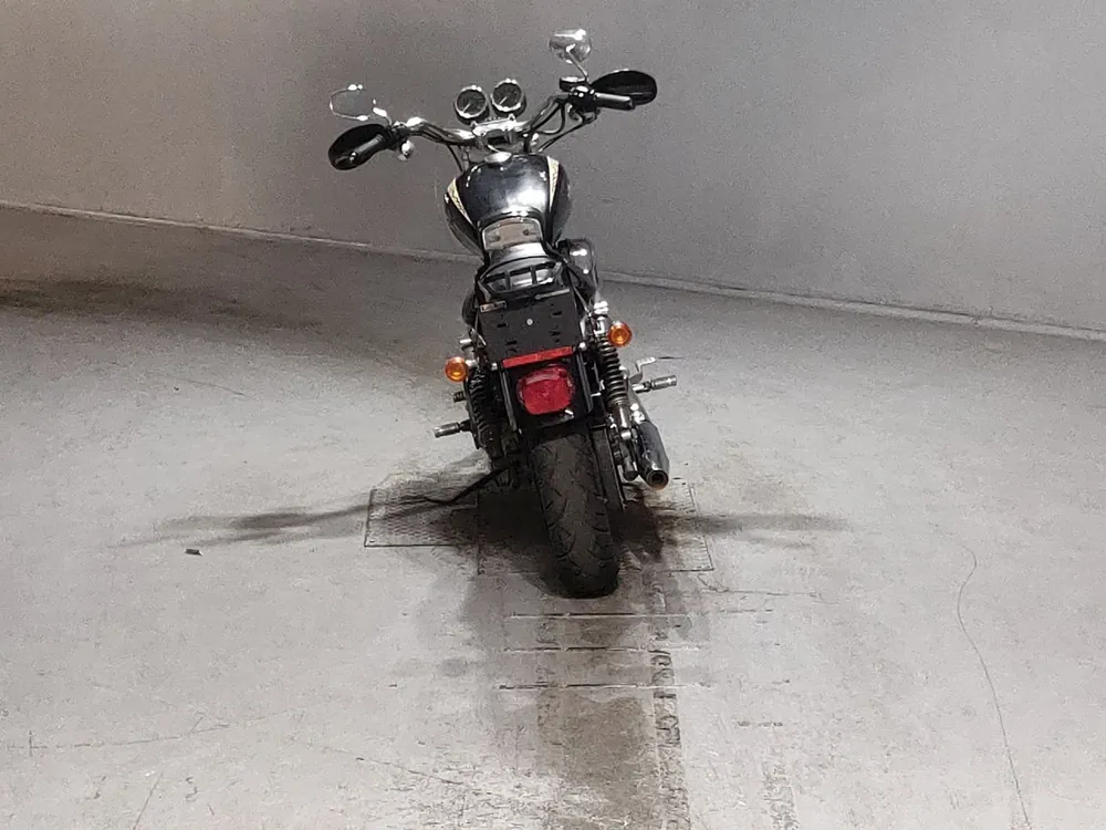 Harley-Davidson XL1200R 2007, чёрный, фото 4
