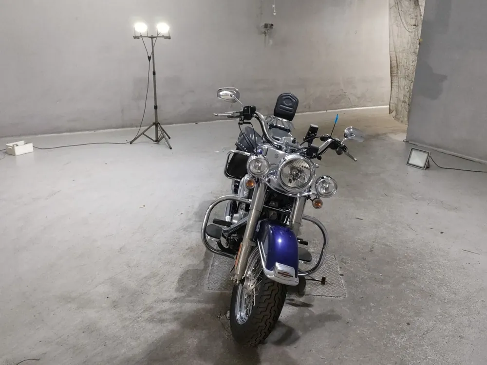 Harley-Davidson FLST1450 2006, white / blue, фото 3