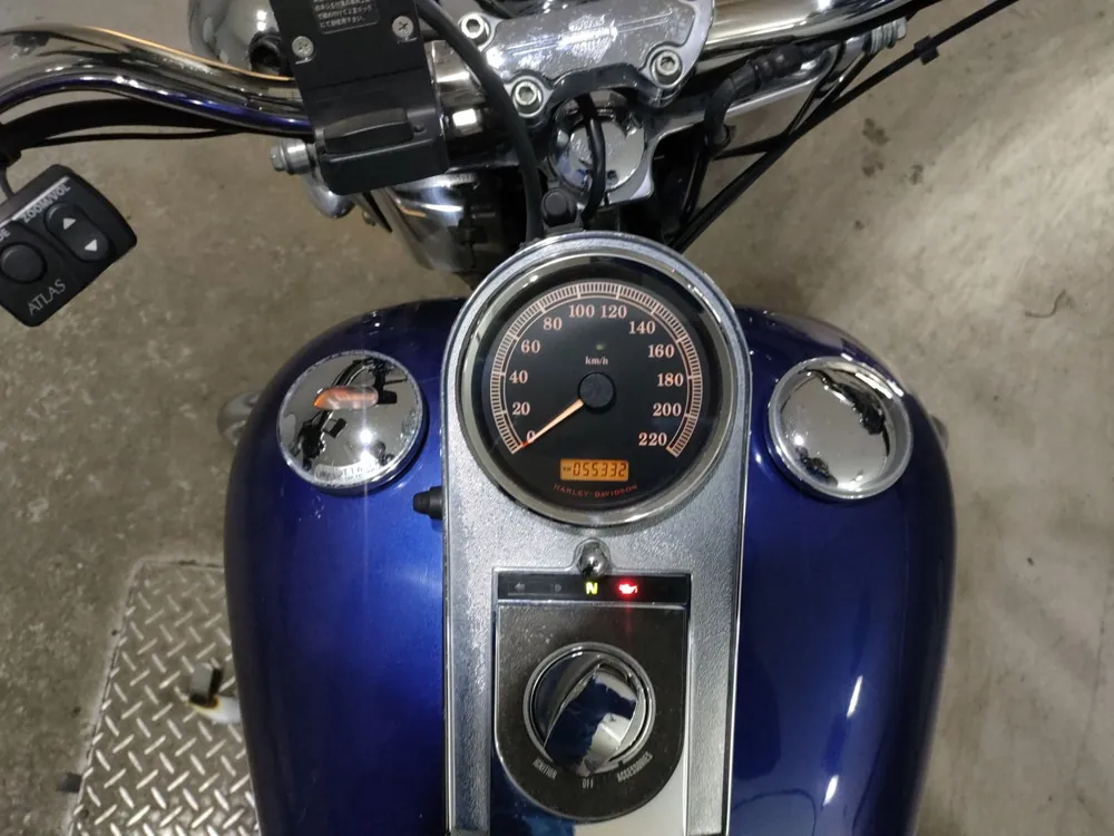 Harley-Davidson FLST1450 2006, white / blue, фото 5