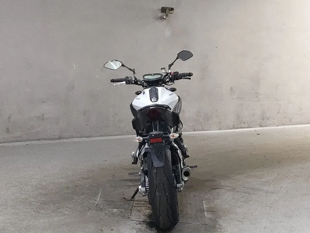 Yamaha MT-07 2014, белый, фото 4