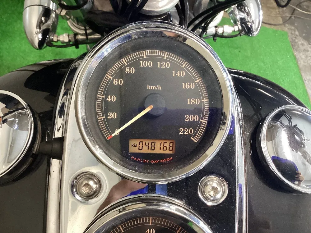 Harley-Davidson FXDL1580 2006, фото 8