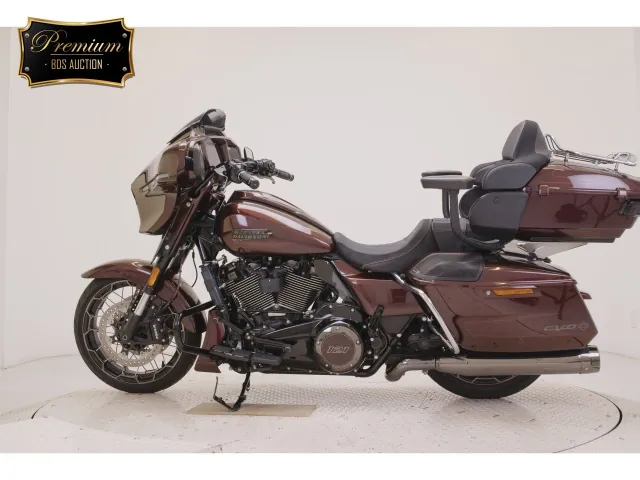 Harley-Davidson FLHXSE1980CVO 2024, light brown, фото 2