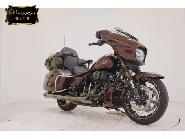 Harley-Davidson FLHXSE1980CVO 2024, light brown, фото 3