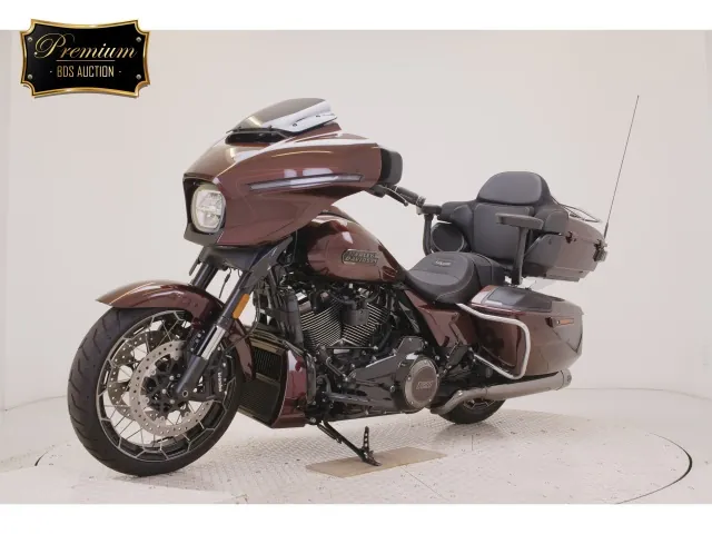 Harley-Davidson FLHXSE1980CVO 2024, light brown, фото 4