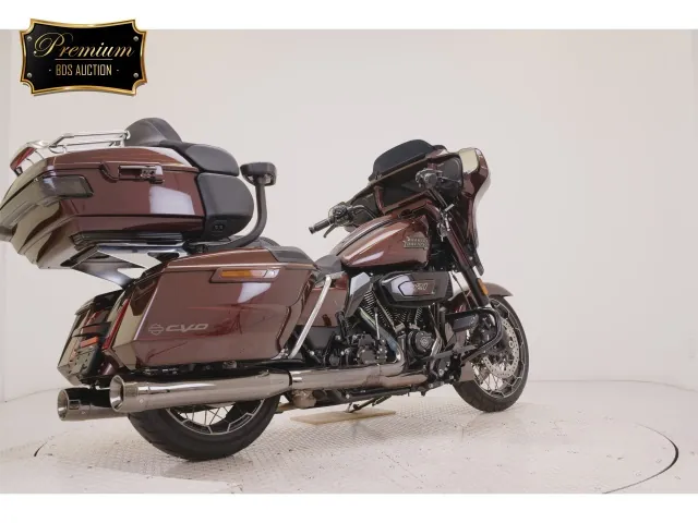 Harley-Davidson FLHXSE1980CVO 2024, light brown, фото 5
