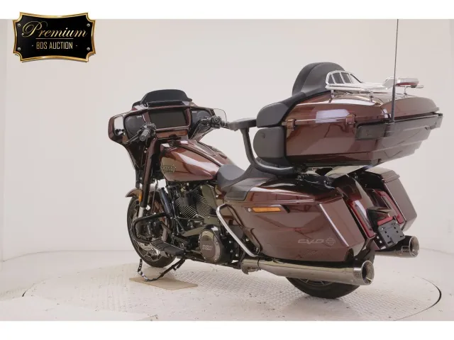 Harley-Davidson FLHXSE1980CVO 2024, light brown, фото 6