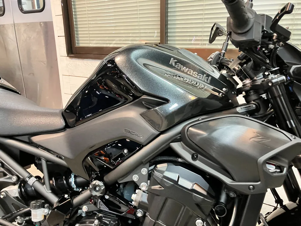 Kawasaki Z900 2026, gun m/ black, фото 16
