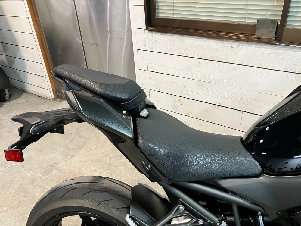 Kawasaki Z900 2026, gun m/ black, фото 4