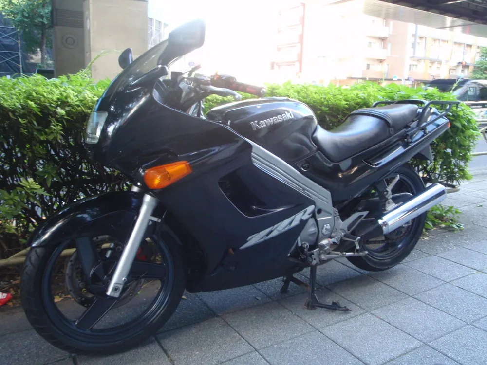 Kawasaki ZZ-R250, чёрный, фото 4