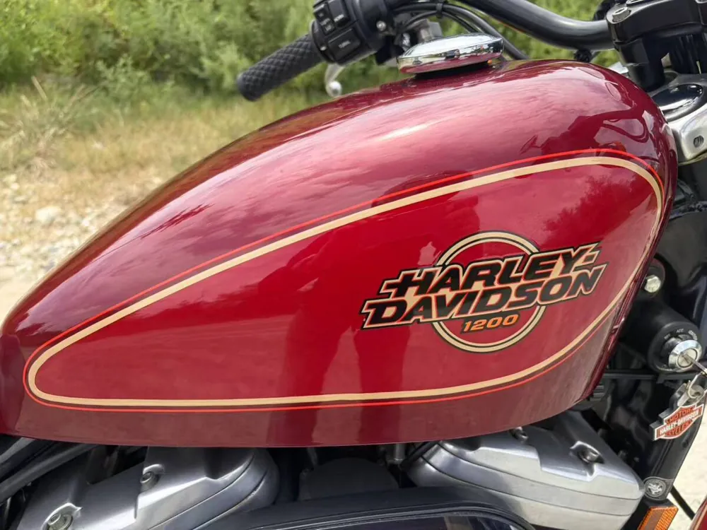 Harley-Davidson XL1200 1995, фото 4