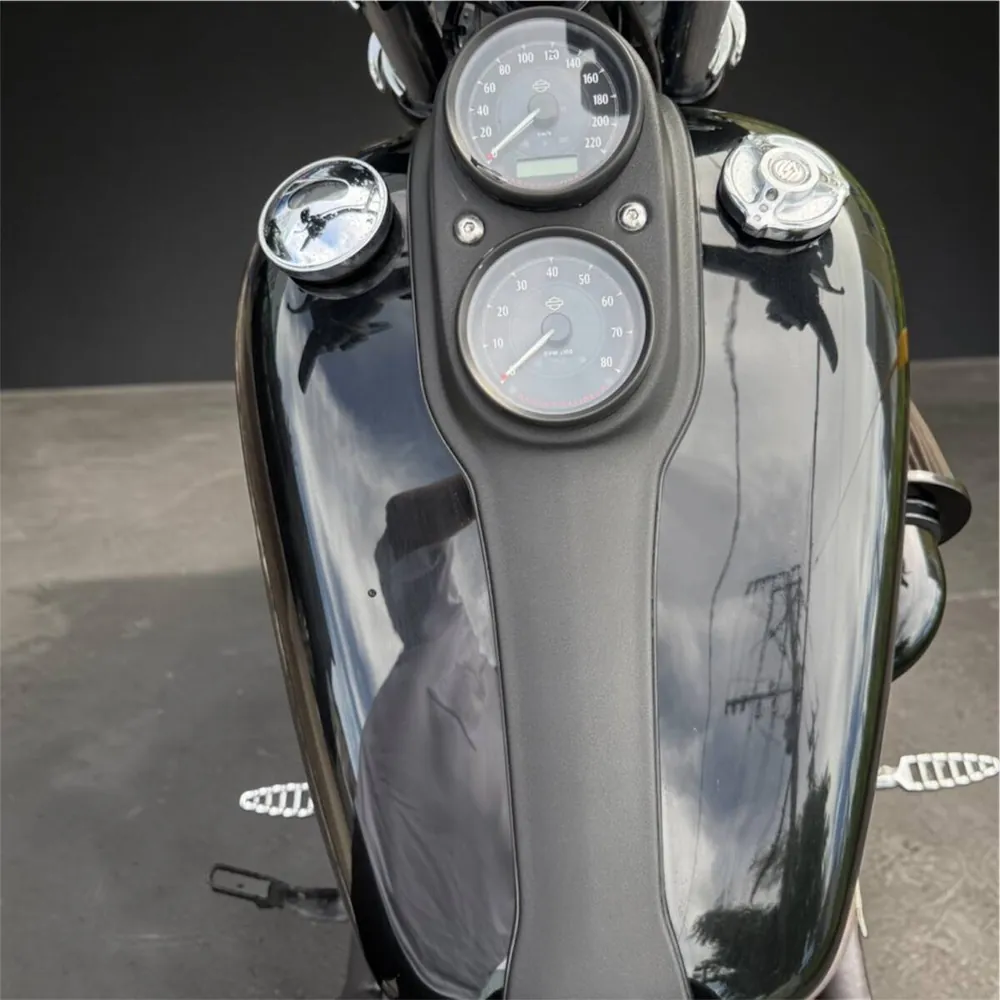 Harley-Davidson FXDLS Dyna Low Rider S 2016, фото 8