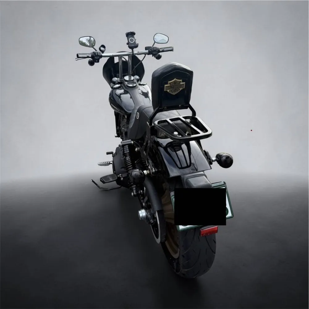Harley-Davidson FXDLS Dyna Low Rider S 2016, фото 9
