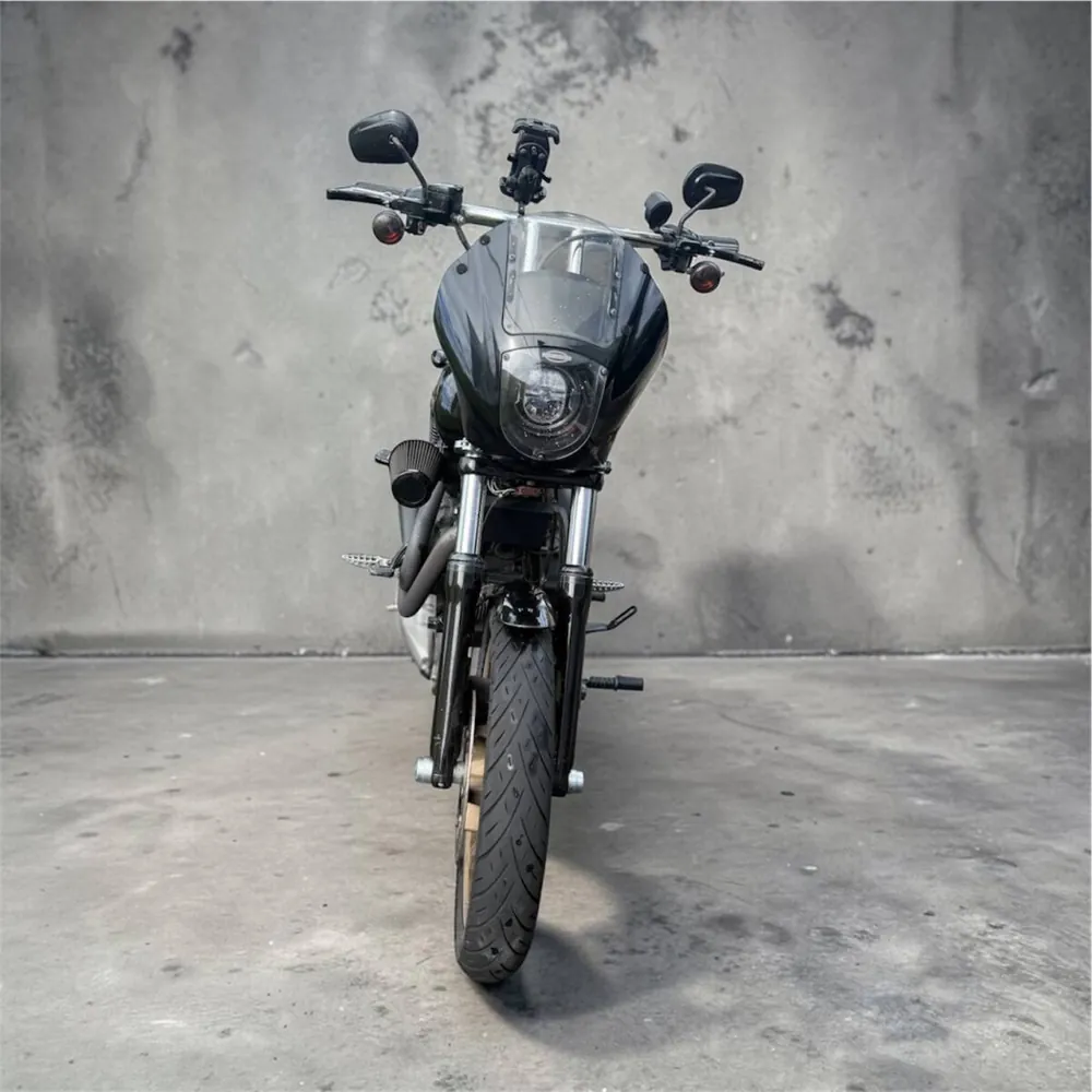 Harley-Davidson FXDLS Dyna Low Rider S 2016, фото 3