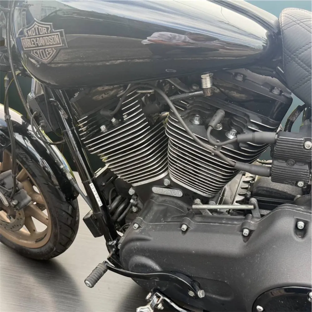 Harley-Davidson FXDLS Dyna Low Rider S 2016, фото 4