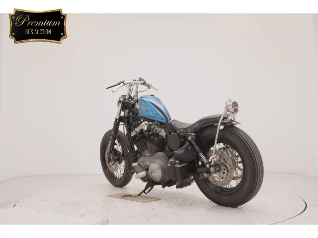 Harley-Davidson XL1200N 2008, black | blue, фото 6