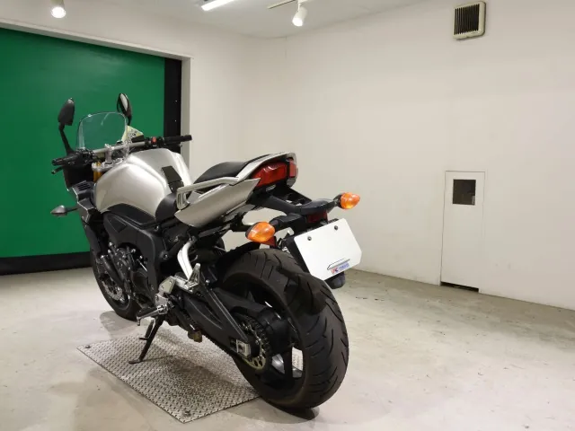 Yamaha FZ-1 FEATHER 2006, серебристый, фото 6