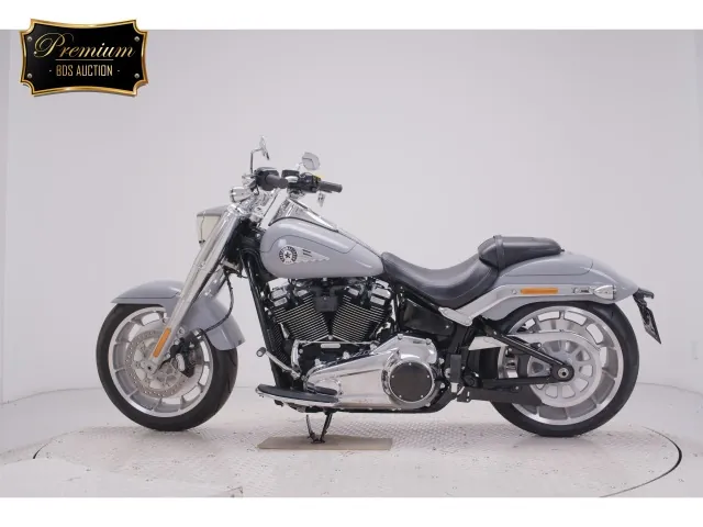 Harley-Davidson FLFB1920 2025, серый, фото 2