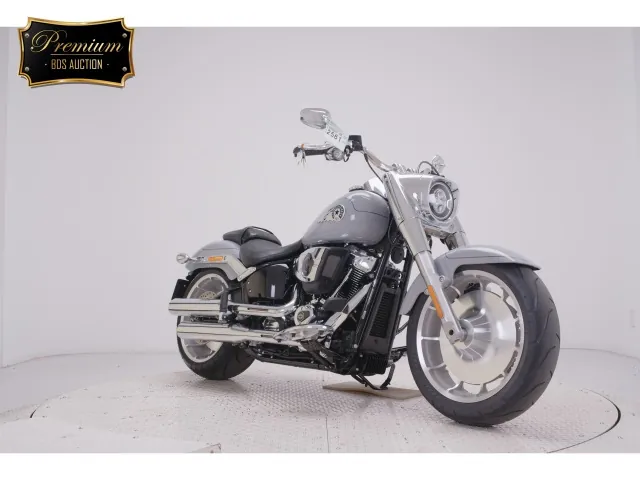 Harley-Davidson FLFB1920 2025, серый, фото 3