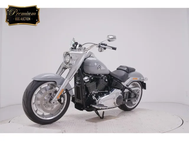 Harley-Davidson FLFB1920 2025, серый, фото 4