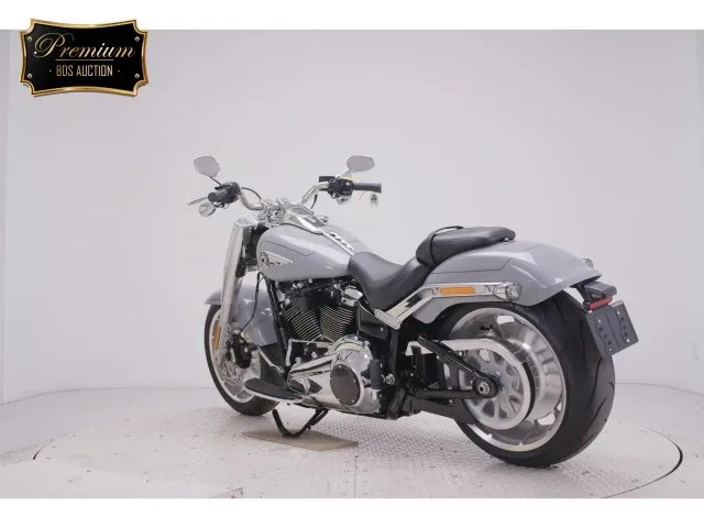 Harley-Davidson FLFB1920 2025, серый, фото 6