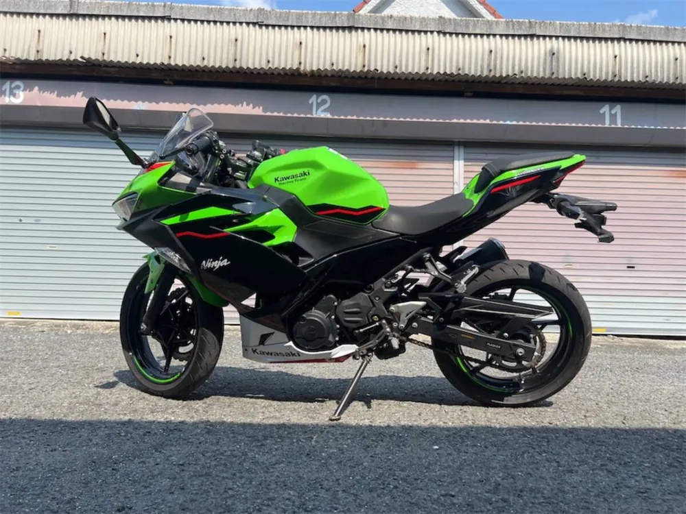 Kawasaki Ninja 250 2018, фото 8