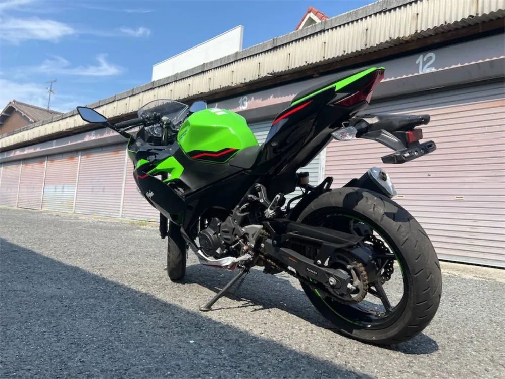 Kawasaki Ninja 250 2018, фото 9