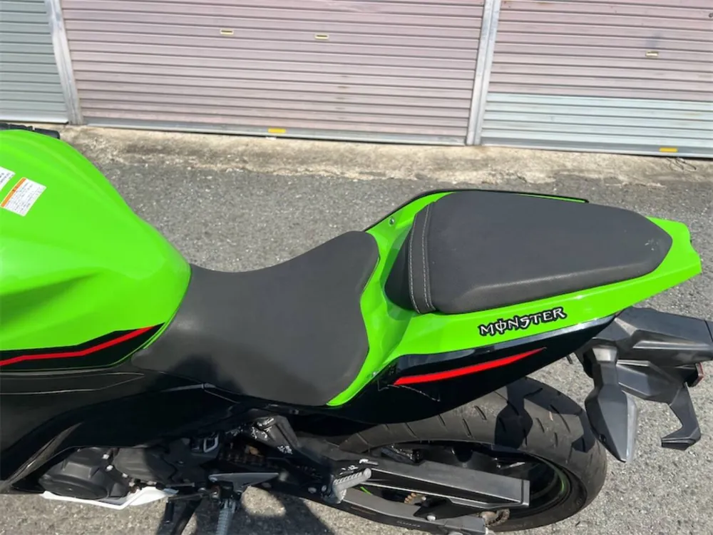 Kawasaki Ninja 250 2018, фото 10