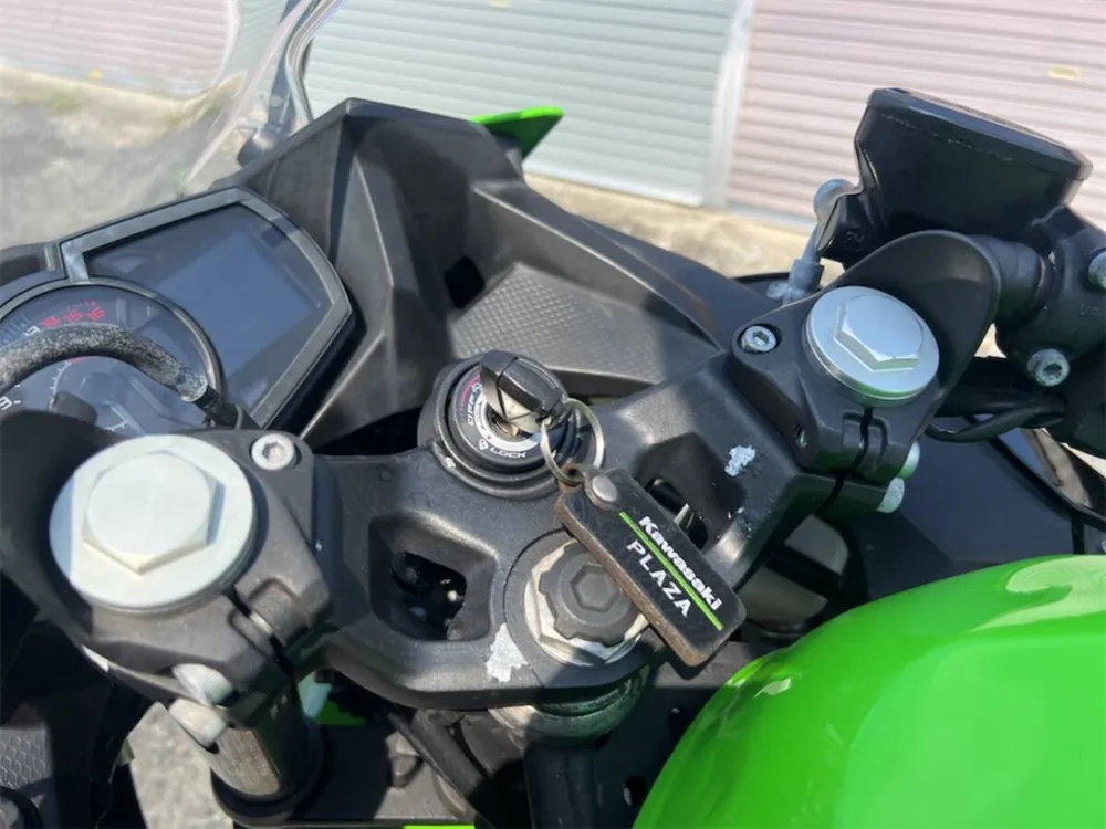 Kawasaki Ninja 250 2018, фото 2