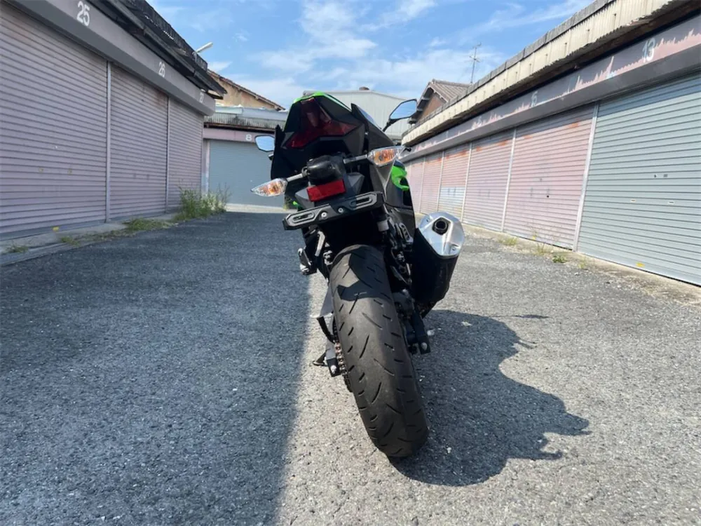 Kawasaki Ninja 250 2018, фото 5