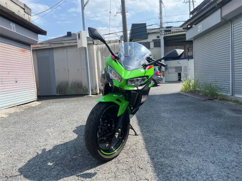 Kawasaki Ninja 250 2018, фото 6