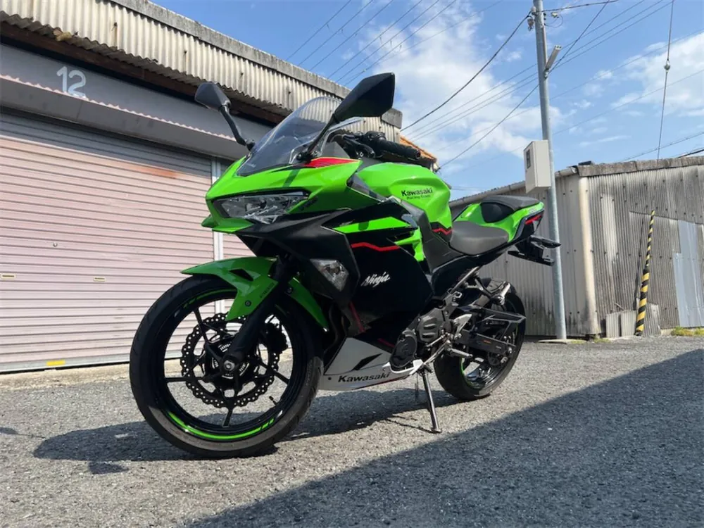 Kawasaki Ninja 250 2018, фото 7