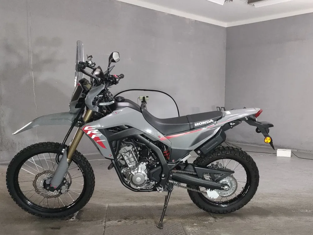 Honda CRF250 Rally, серый, фото 2