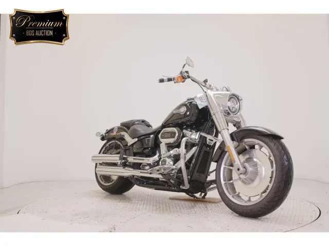Harley-Davidson FLFBS1870 2023, чёрный, фото 3