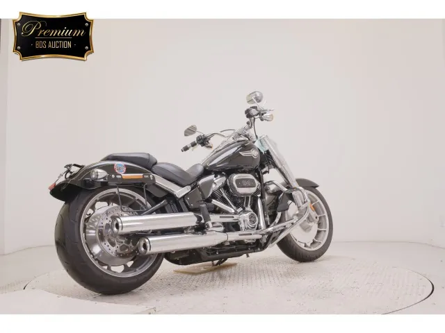Harley-Davidson FLFBS1870 2023, чёрный, фото 5