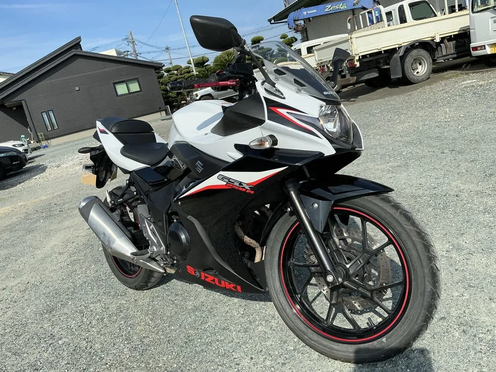 Suzuki GSX250R 2020, фото 5