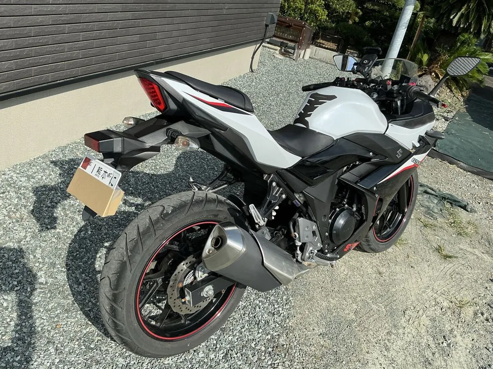 Suzuki GSX250R 2020, фото 7