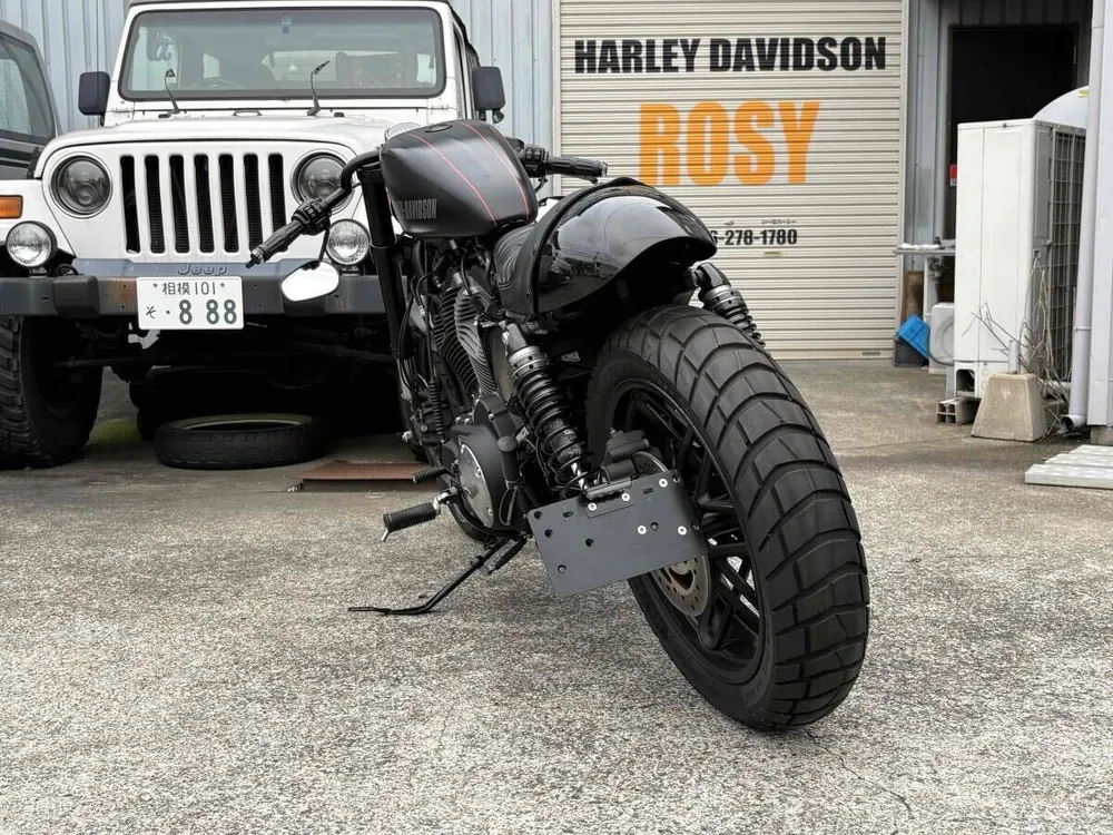 Harley-Davidson XL1200CX Roadster 2017, фото 6
