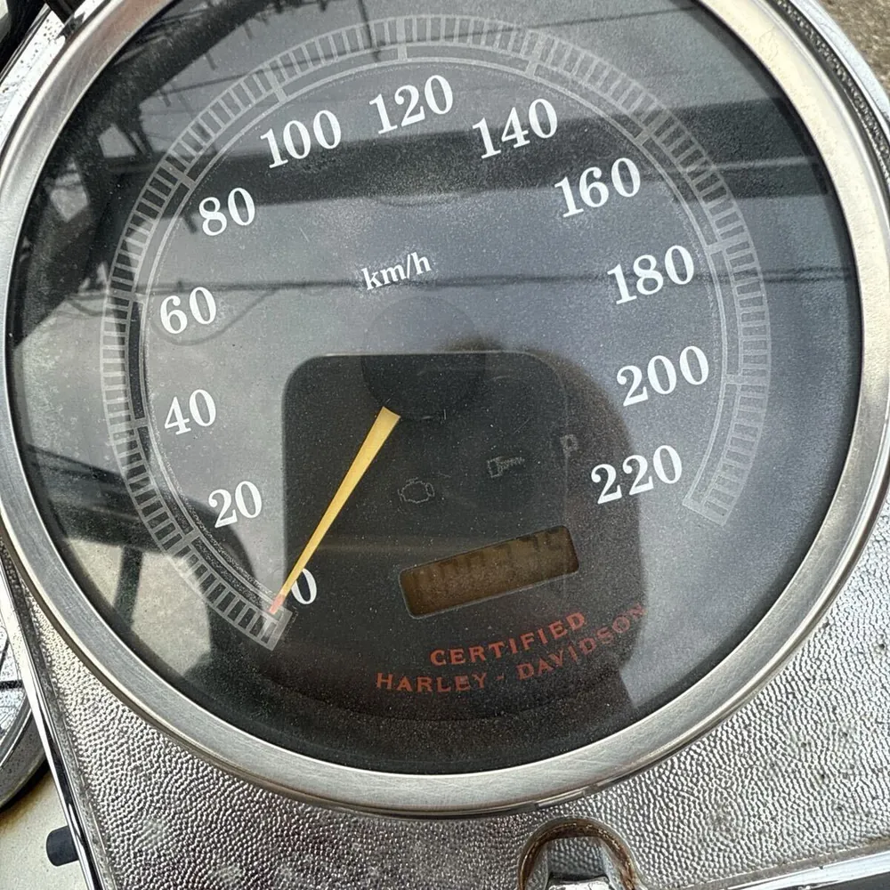 Harley-Davidson FXST1450 2001, фото 8